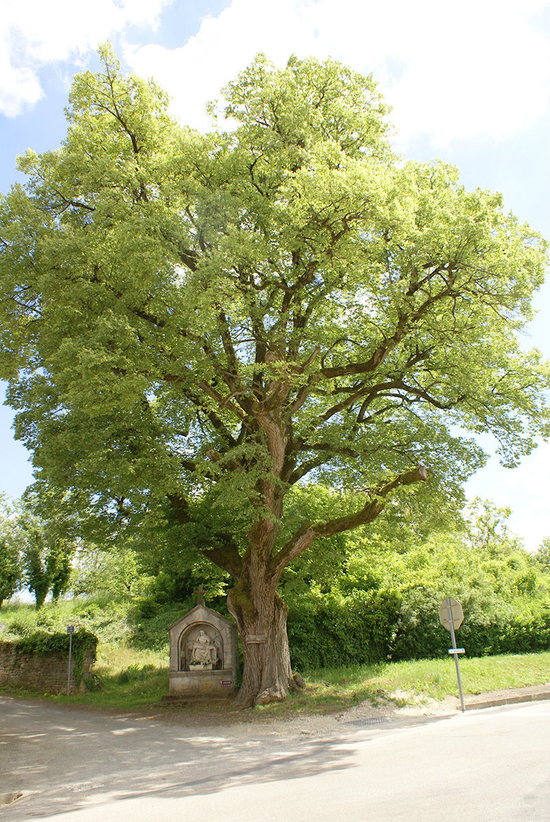 Oratoire Notre-Dame de la Piti